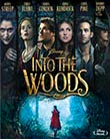 Into the woods