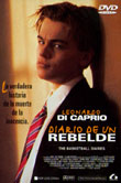 Diario de un rebelde
