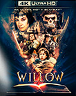 Willow