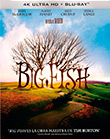 Big fish